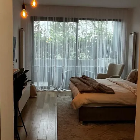 Dorcolina - Novi Dorcol