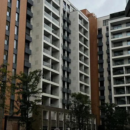 Dorcolina - Novi Dorcol *